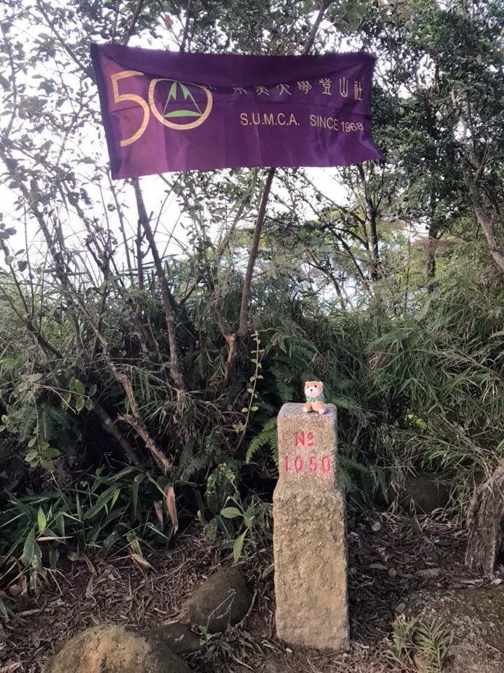 27飛鳳山1.jpg